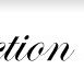 Distinction Homes - Builders QLD