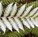 Newlands Landscaping - Builders QLD