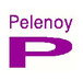 Pelenoy Constructions Pty Ltd - Builders QLD