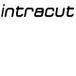 Intracut - Builders QLD 0