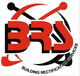 BRS Gold Coast Window Replacement  Handrails - Builders QLD